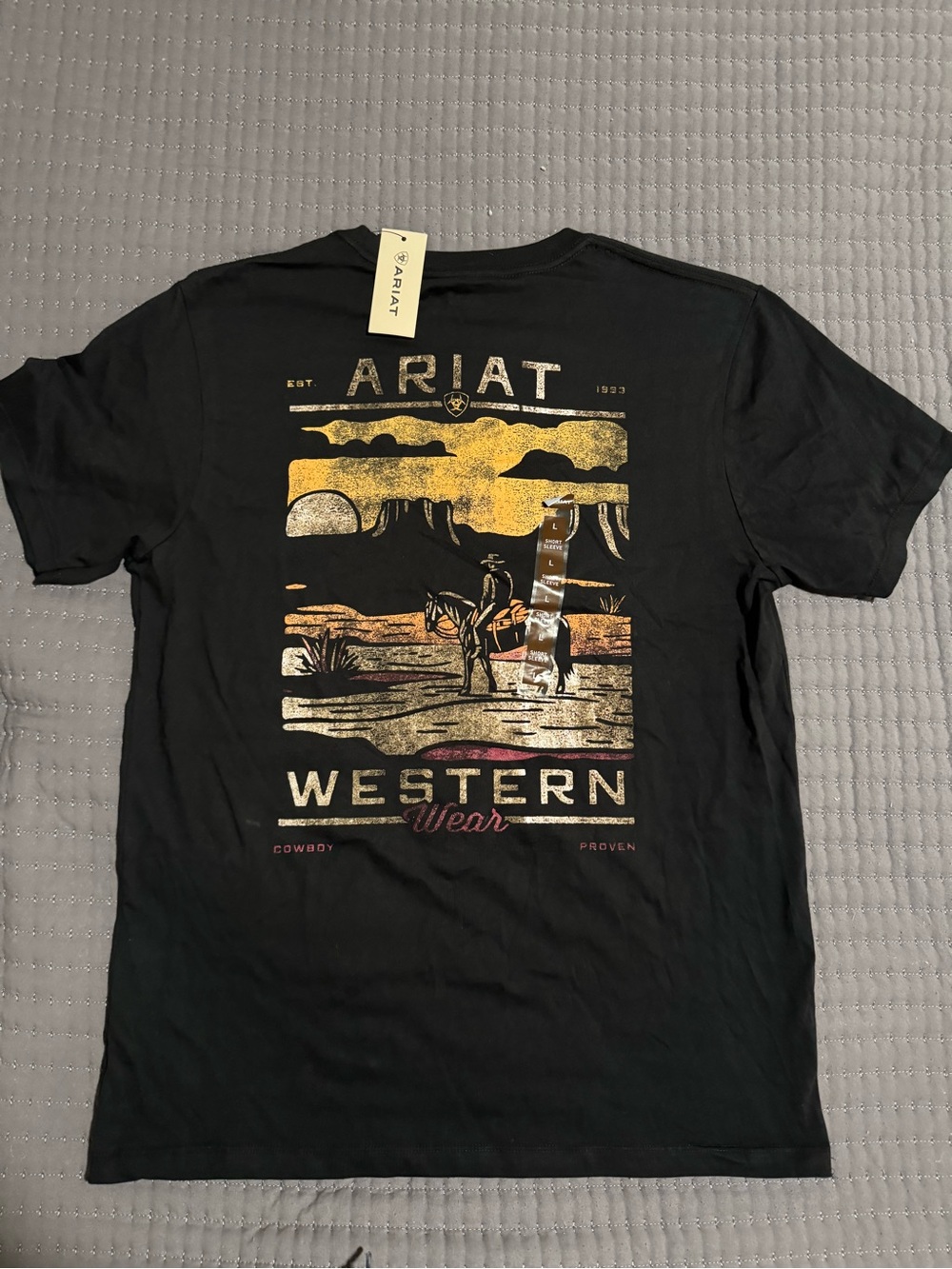 Ariat Black Short-Sleeve Western Graphic Tee with Gold Desert Print